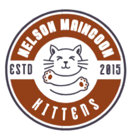 nelsonmaincoonkittens.com